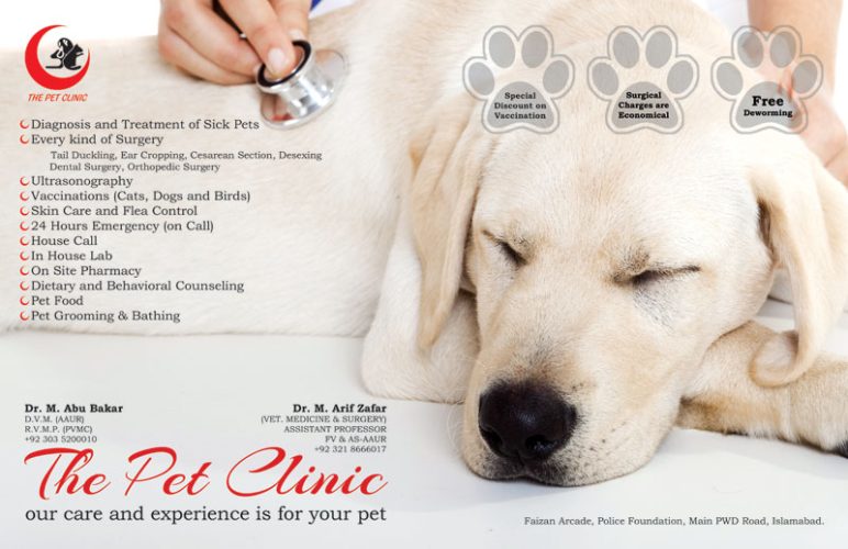 The-Pet-Clinic-copy